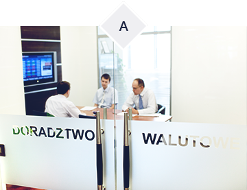 Doradztwo walutowe