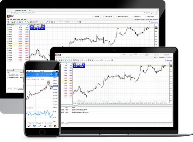 Forex online waluty tms