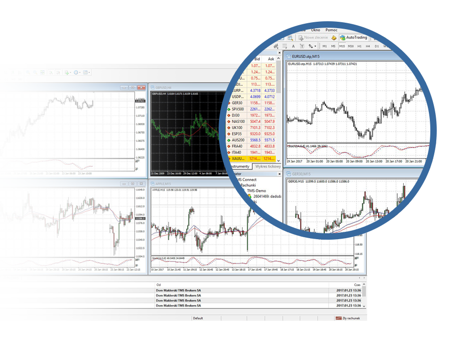 Go forex tms brokers