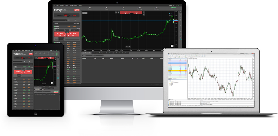 Forex university online