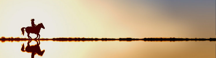 Jak spadać to z wysokiego konia - TMS NonStop – Serwis Analityczny