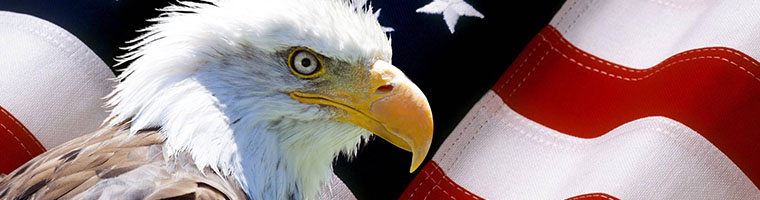 Dane z USA nie szkodzą USD i Wall Street Dane z USA nie szkodzą USD i Wall Street