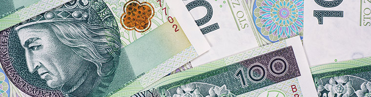 Glapiński z NBP: nic nowego w Davos
