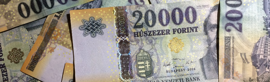 Węgry: kolejna podwyżka stóp procentowych