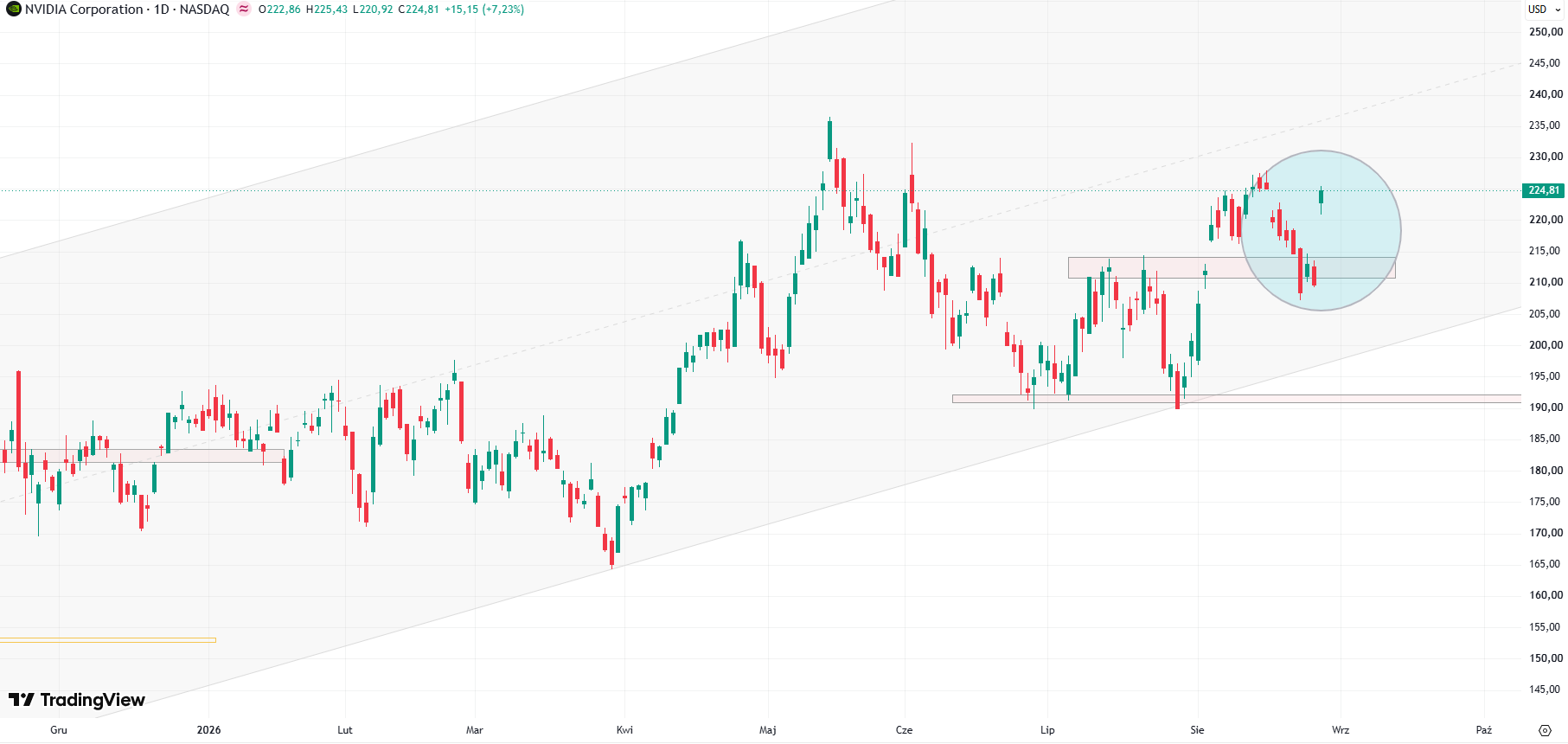 Wykres ceny akcji Nvidia, dane dzienne, źródło: Tradingview
